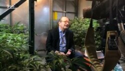Колишній радник шести президентів США тепер вирощує марихуану