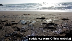 Последствия выброса мазута на морской пляж возле Судака, аннексированный Крым. Архивное фото