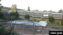 Віденський притулок Wiener Tierschutzverein приймає тварин із Австрії, Угорщини, Хорватії та Білорусі