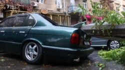 Злива в Одесі: повалені дерева, розчавлені авто (відео) Злива в Одесі: повалені дерева, розчавлені авто (відео)