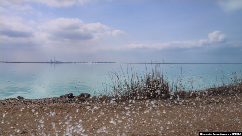 Купаться в озере Асс не рекомендуется, а при подъезде к водоему во рту чувствуется привкус железа  