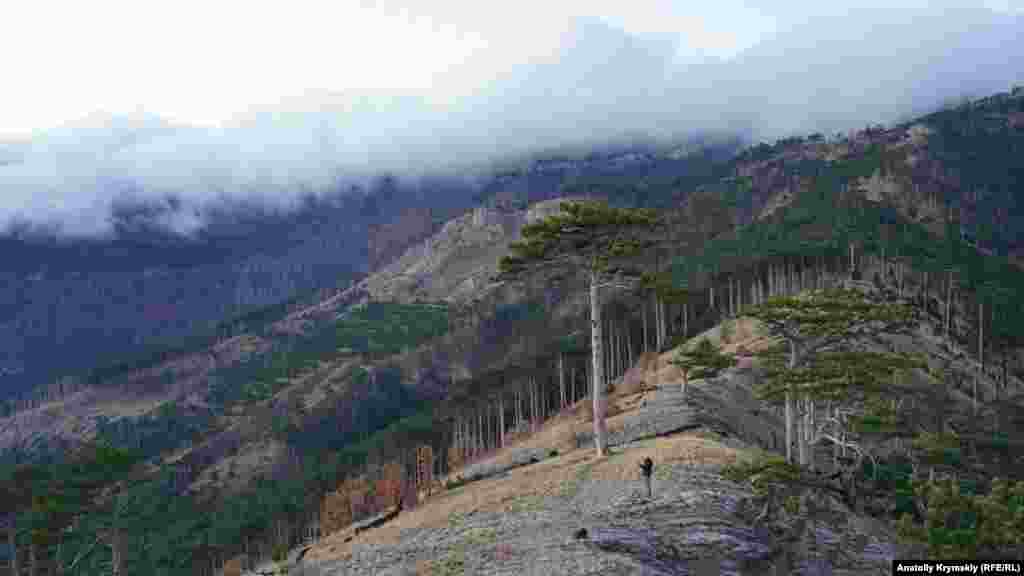 Под вечер с отрогов Ялтинской яйлы облака  вновь начали спускаться в сторону моря