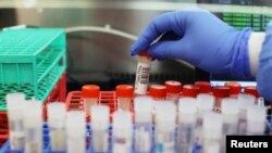 Laboratorija (fotoarhiva)