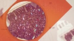 Какой «Крым» сняли по заказу Минобороны России | Крым.Настоящий (видео) Какой «Крым» сняли по заказу Минобороны России | Крым.Настоящий (видео)