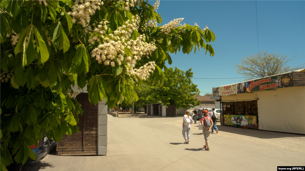 На улице Ленина отцветают каштаны 