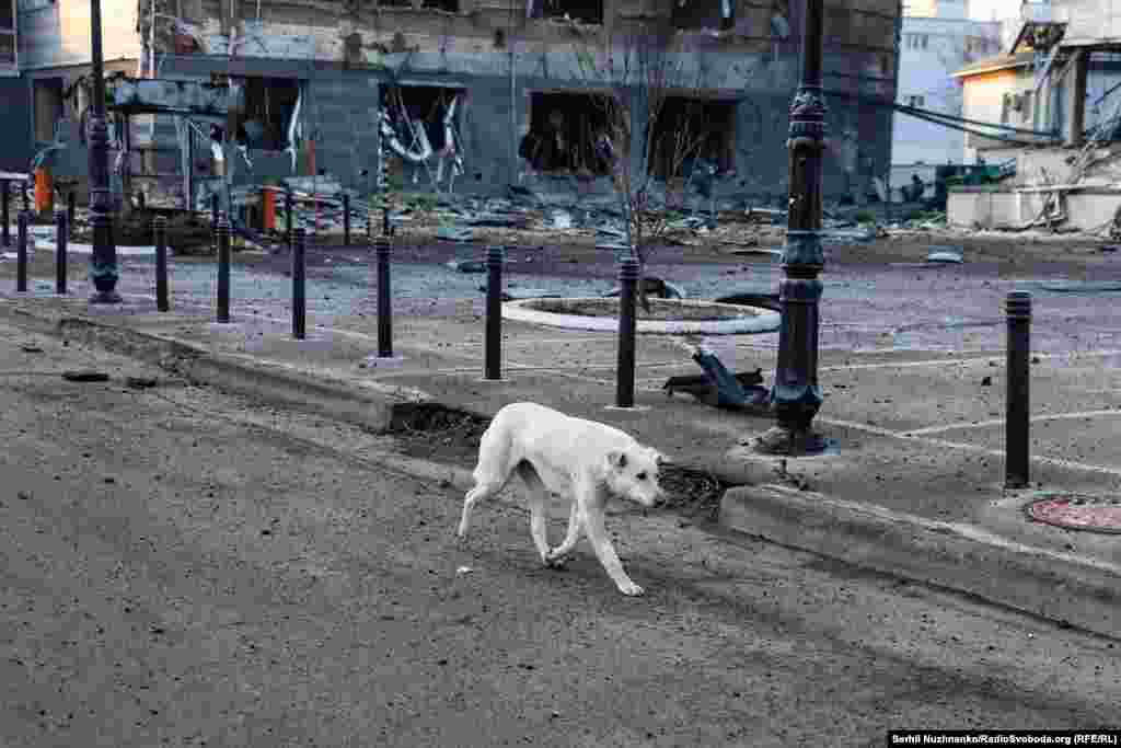Зокрема, перед атакою Повітряні сили попереджали про загрозу застосування балістики з північного сходу