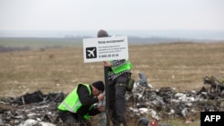 На місці катастрофи MH17 на Донбасі