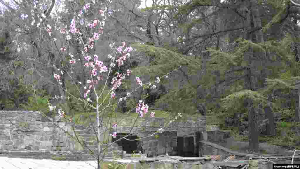 Система каскадов на ручье вдоль главной лестницы тоже находится не в лучшем состоянии 