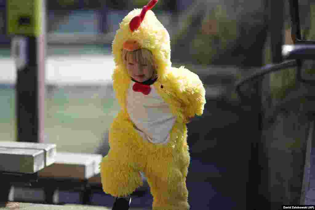 Це Ейс Йендра із Форт-Коллінза, штат Колорадо, йому два роки. Напередодні Геловіна він поспішає у костюмі курчати до Денверського зоопарку  