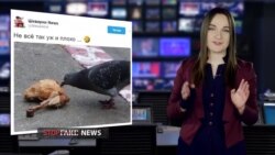 Фейк: Украина не может профинансировать Евровидение (видео) Фейк: Украина не может профинансировать Евровидение (видео)