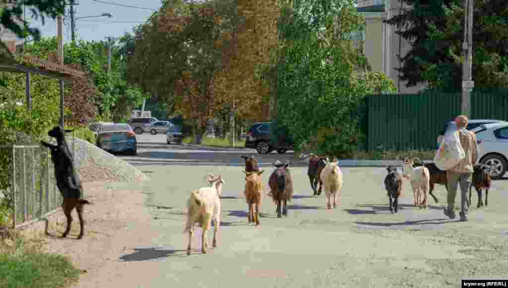 Как Богдановка пережила режим ЧС – смотрите в нашем фоторепортаже