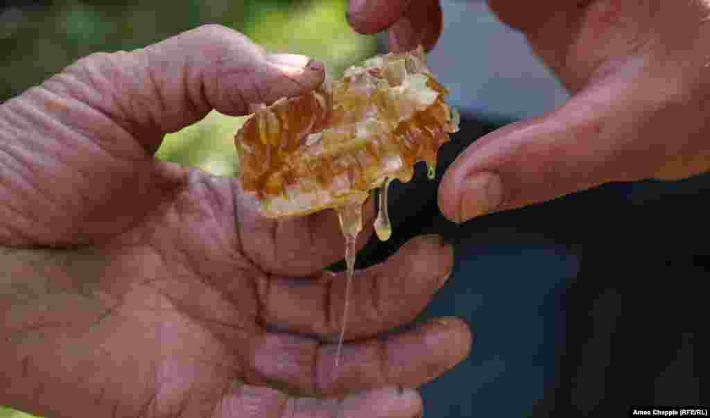 Путкарадзе делится своим урожаем, собранным на скалах. Мед прозрачный, слегка фруктовый, его приятно есть, запивая холодной водой из горного ручья. Пожилой пчеловод рад, что уникальный мед вызывает все больший интерес за пределами Грузии: «Я слежу за этим уже несколько десятилетий… Я считаю, что пчелы важны для сохранения нашей прекрасной природы, и пчеловодство джара позволяет мне играть в этом свою роль»