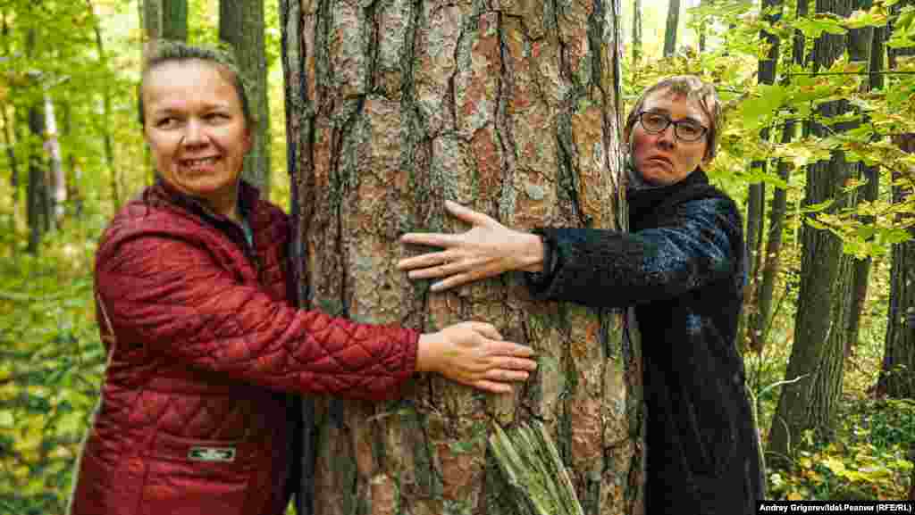 Вот так эта кустарниковая растительность выглядит при ближайшем рассмотрении. Ствол "куста" едва удаётся обхватить двум взрослым людям. 