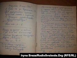 Справа Августина Волошина