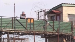 Что скрывают власти? Что скрывают власти?