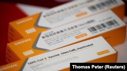 У Sinovac заявили, що дозвіл вдалося отримати базуючись на результатах двомісячних клінічних випробувань на пізніх стадіях, які проводилися за кордоном.