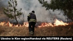 Пожежник гасить вогонь всередині 30-кілометрової зони довкола Чорнобильської АЕС, квітень 2020 року