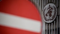 Год ковида. Власть и вирус Год ковида. Власть и вирус