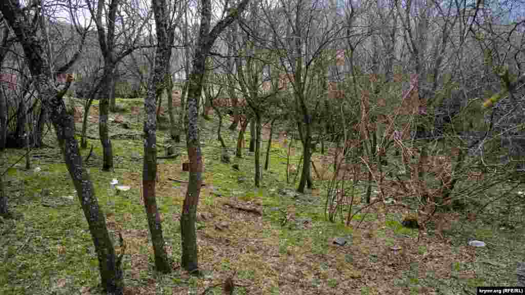 Старое заброшенное мусульманское кладбище почти в центре села 