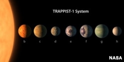 Планеты в системе TRAPPIST-1