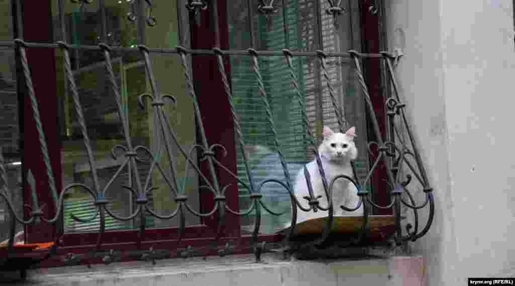 Где еще предположительно трудились военнопленные в Симферополе – в нашем фоторепортаже