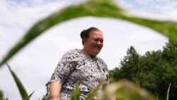 Na četiri ara zemlje Shqipe nanovo gradi život u selu kod Prištine Na četiri ara zemlje Shqipe nanovo gradi život u selu kod Prištine