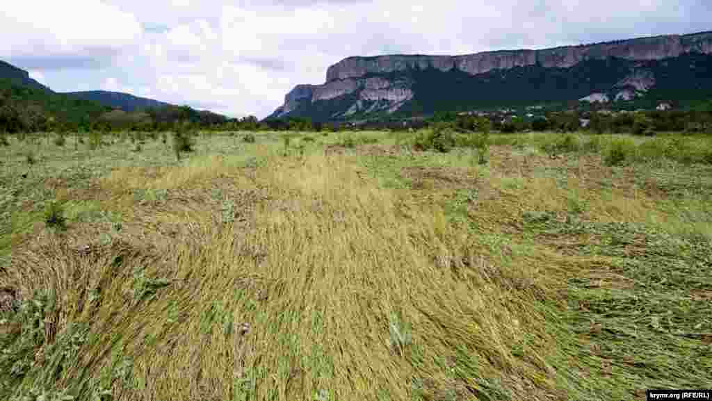 Речная вода сошла с поля на правом берегу Бельбека. Вдали – село Малое Садовое