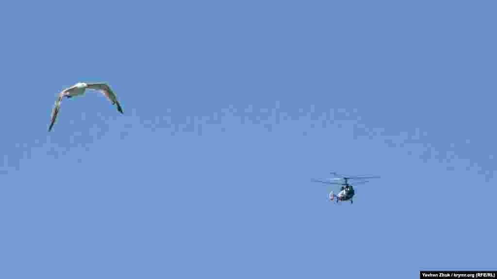 Эта чайка «соревнуется» с пролетающим над морем вертолетом
