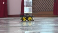 Риба керує акваріумом – експеримент школярки із Черкас Риба керує акваріумом – експеримент школярки із Черкас