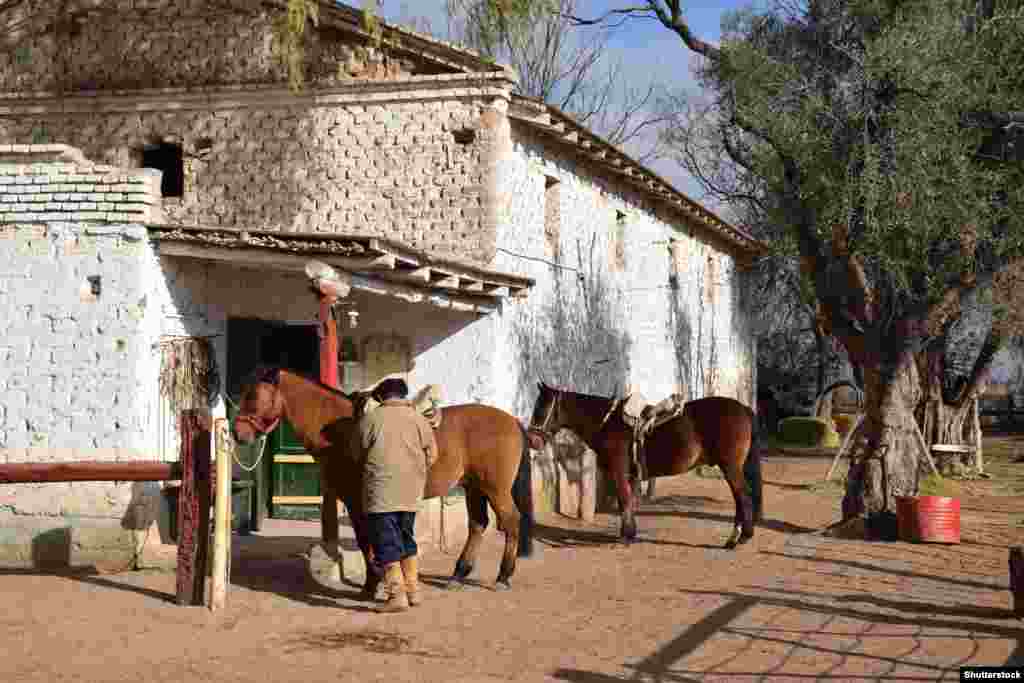 Ґаучо стали однією з ключових сил у Війні за незалежність Аргентини 1810–1825 років, брали участь у боротьбі за незалежність Уругваю і Болівії, а згодом стали символом самостійницької ідеології і націоналізму у Південній Америці. Література цієї групи вважається початком аргентинської літератури. На початку XX століття ґаучо практично зникли