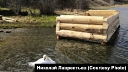 Строительство купели в Изборске