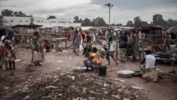 Искать золото Пригожина и погибнуть Искать золото Пригожина и погибнуть