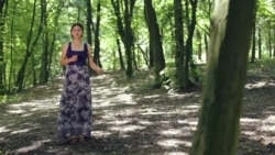 Видеоуроки «Elifbe». Прогулка в лесу (видео) Видеоуроки «Elifbe». Прогулка в лесу (видео)