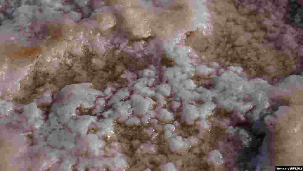 Корка розовой соли на дне озера. Под ней – черная лечебная грязь