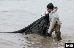 Співробітник МНС РФ збирає плями нафти на поверхні в селі Вольна під час операції з ліквідації розливу нафти після аварії танкерів «Волгонєфть 212» і «239» у Керченській протоці