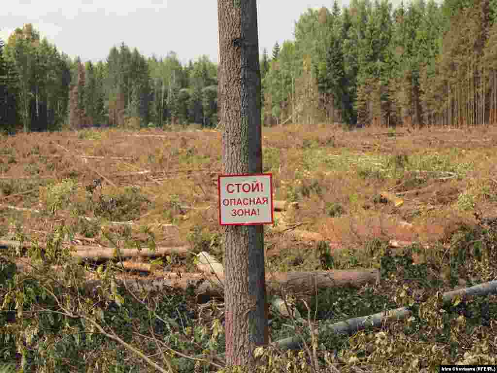 29 июня представители инициативной группы “В защиту лесов Подмосковья” провели акцию против вырубки лесов в Солнечногорском районе под автомагистраль Москва – Санкт-Петербург.