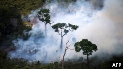 Пажар у бразыльскім трапічным лесе
