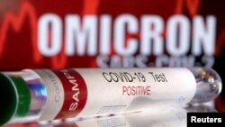 اومېکرون بڼه په نومبر کې په جنوبي افریقا کې وموندل شوه چې له هغه وخت راهیسې یې په یوشمېر هېوادونو کې پېښې ثبت شوې دي - انځور له ارشیفه
