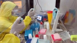 Лабораторія для тестування на COVID-19