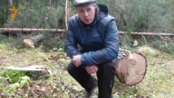 Златоуст. Граждане защищают свой лес Златоуст. Граждане защищают свой лес