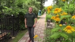 Статистика легкого поведения Статистика легкого поведения