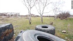 Экологическая катастрофа или начало новой жизни Экологическая катастрофа или начало новой жизни