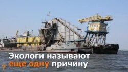 Почему гибнет рыба в Казанке? Почему гибнет рыба в Казанке?