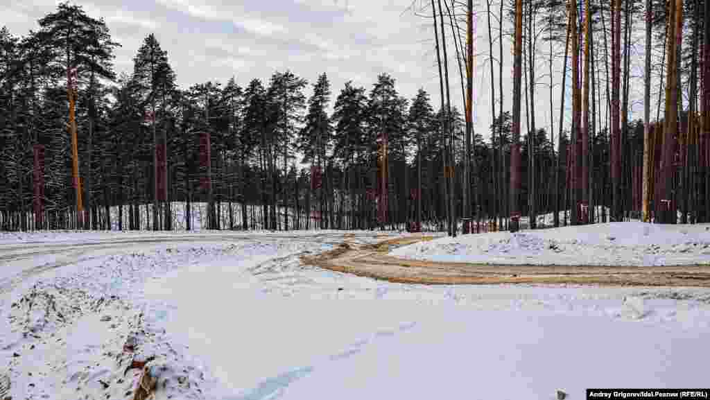 Сейчас речь идёт уже не о просеке, а об огромной расчищенной от леса площадке... 