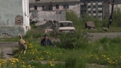 Загнали Загнали