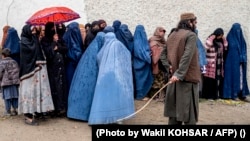 Співробітник служби безпеки «Талібан» стоїть на варті, поки афганські жінки в паранджі чекають у черзі посеред зливи, щоб отримати продукти харчування, пожертвувані під час священного місяця посту Рамадан. Кабул, Афганістан. 25 березня 2025 року
