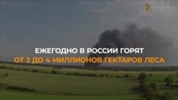 Лесные пожары Лесные пожары