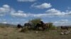 Wild horses, a tourist attraction in Livno, in the west of Bosnia and Herzegovina