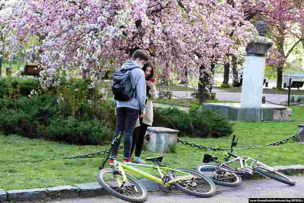 Щороку в Ужгород помилуватися сакурами приїжджають сотні українців з усіх областей. Через карантинні заходи у зв’язку з пандемією COVID-19 біля деревець рідко зустрінеш більше ніж двох людей