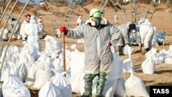 Анапа, 5 января 2025